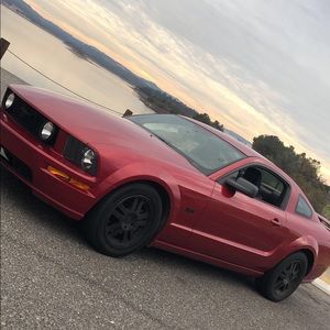 Meet your Posher, Tyler